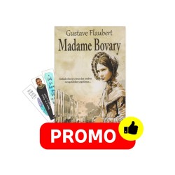 Madame Bovary