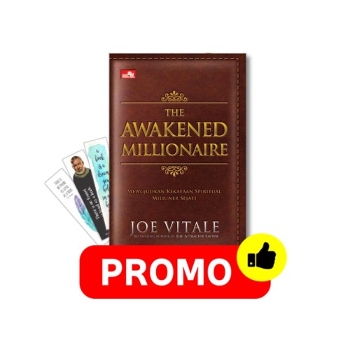 The Awakened Millionaire